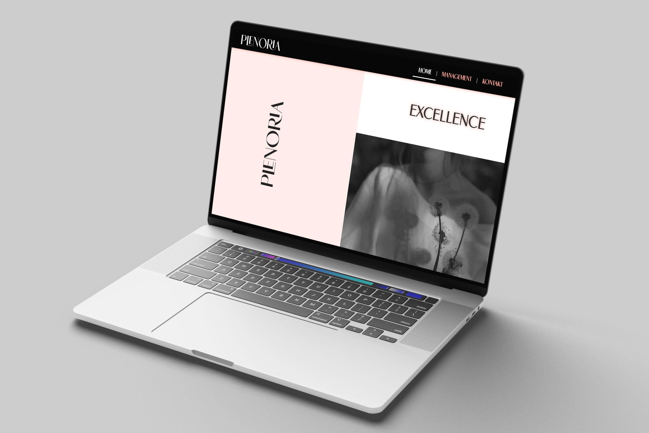 dizajn izrada web stranice plenoria dizajn web stranice dizajn logotipa branding